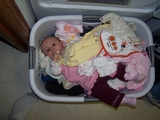 2006 Mary laying in a basket of clean clothes.