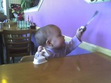 Mary is sitting in her high chair holding her spoon by the bowl with the handle in the air as if signaling a waitress.