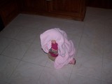 Mary sitting on the kitchen floor with her pink blanket over her head.