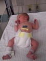 Mary laying in the hospital incubator, newly born.