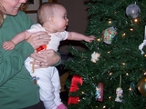Mary in her mommy's arms reaching out to a Christmas tree branch.