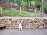 Mary facing a rock wall with her arms in the air like she is trying to climb it.
